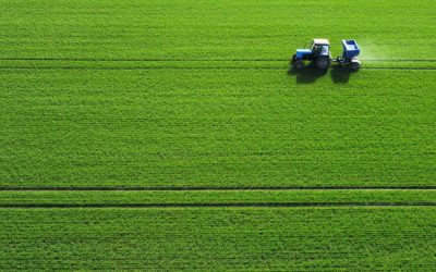 Casting Bread – 5 Principles of Sowing