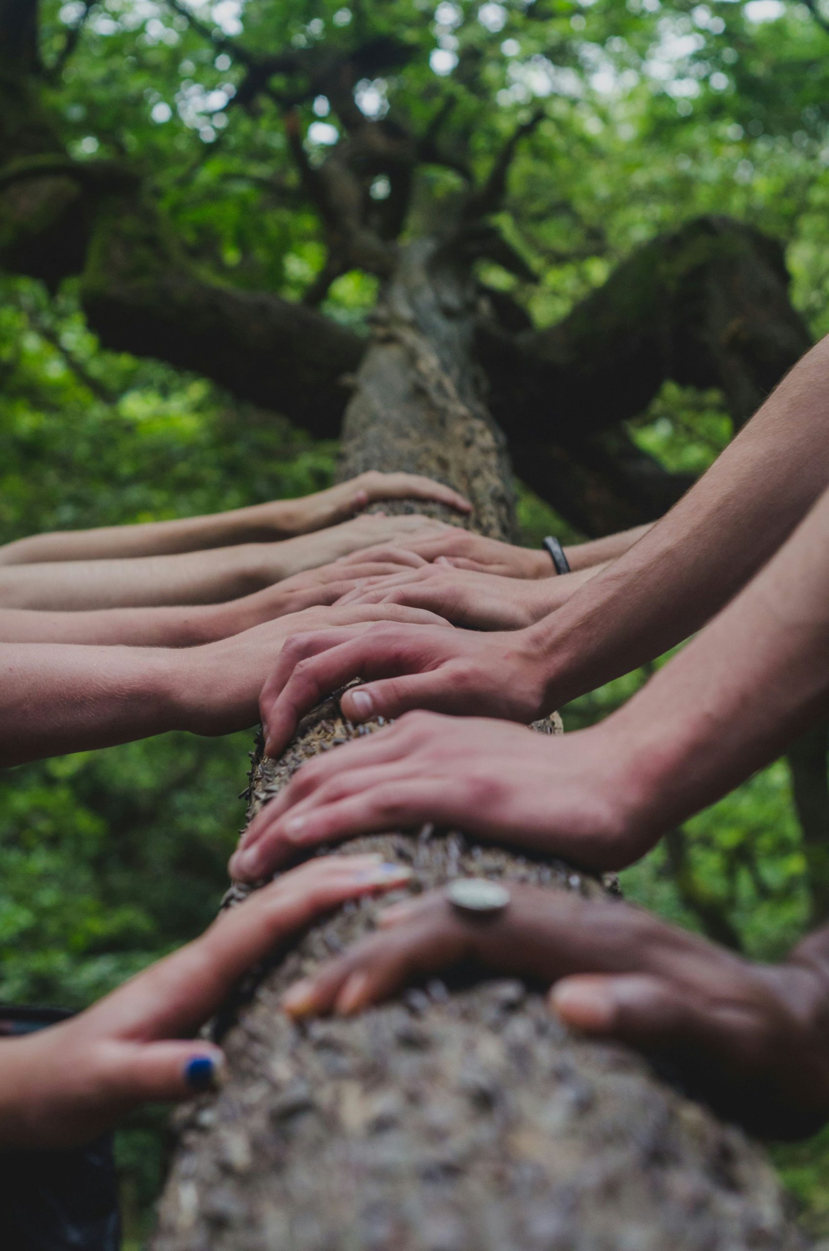 building together.